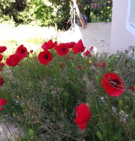 La Piccola Quercia * Stroncone