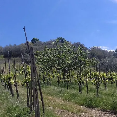 La Piccola Quercia Couette-café *