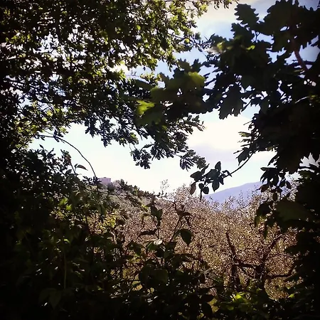 Bed and breakfast La Piccola Quercia