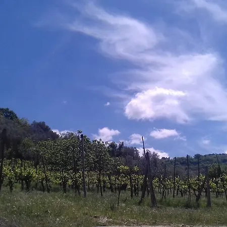 La Piccola Quercia Stroncone