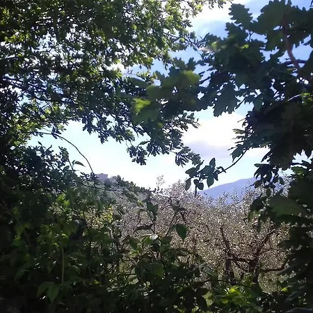 La Piccola Quercia *