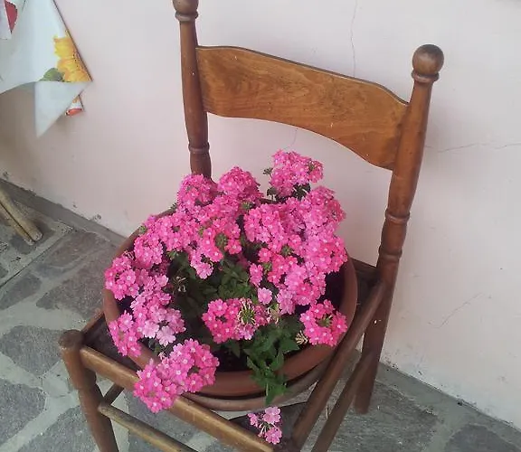 فندق مبيت وإفطار La Piccola Quercia