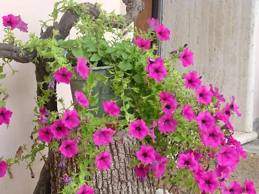 La Piccola Quercia Stroncone