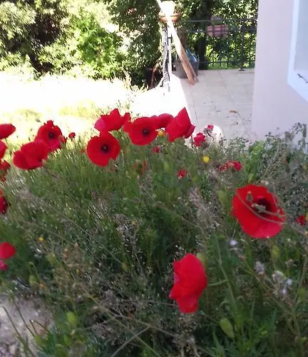 La Piccola Quercia * Stroncone