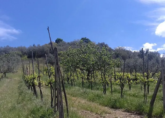 La Piccola Quercia فندق مبيت وإفطار *