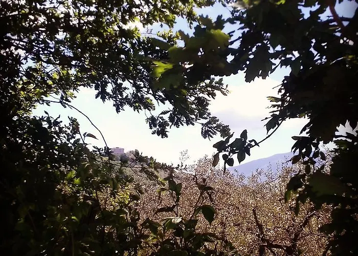 Alojamento de Acomodação e Pequeno-almoço La Piccola Quercia