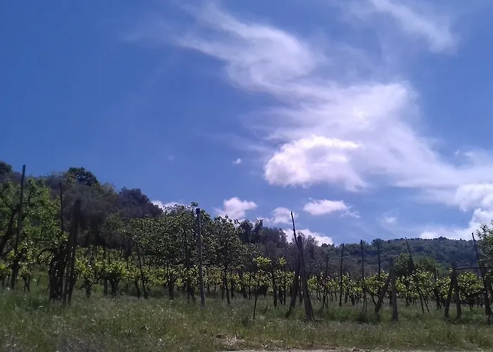 La Piccola Quercia Stroncone