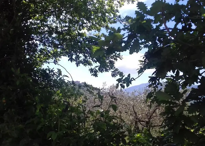 La Piccola Quercia *